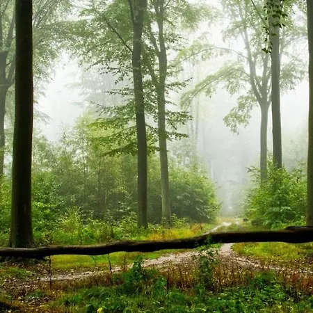 Prázdninový dům Des Chevaliers Theutoniques