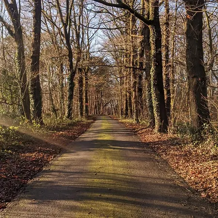 Des Chevaliers Theutoniques *